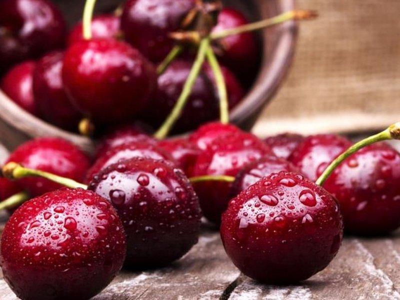 Вишня купить саженцы из питомника в Подольске